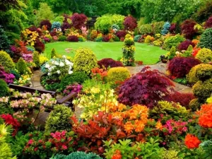 Bộ sưu tập ảnh phong cảnh vườn bách thảo đầy sắc màu